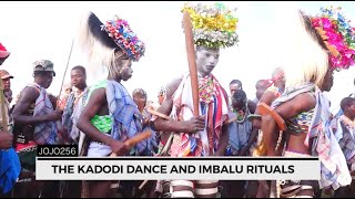 THE BAGISU KADODI DANCE  EASTERN UGANDA [upl. by Sivi105]