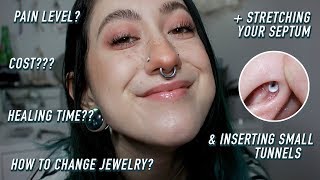 a 101 guide on septum piercings [upl. by Roxana]