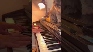 Ludovico Einaudi Fly persiancat digitalpiano modernmusic piano electronicmusic classicalmusic [upl. by Sul]