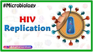 HIV Replication  Microbiology Medical Animations [upl. by Kelsy876]