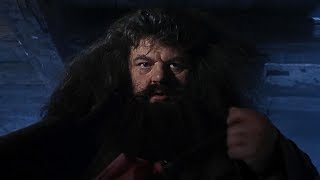 A visit from Rubeus Hagrid  Harry Potter and the Philosophers Stone [upl. by Lamont]