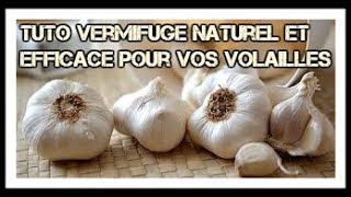 TUTO  Comment faire un vermifuge simple naturel et efficace [upl. by Renie]