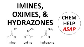 imines hydroxylamines amp hydrazones [upl. by Imim]