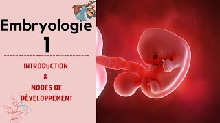 Embryologie  introduction  mode de développement  2021  شرح بالدارجة [upl. by Ynatirb645]