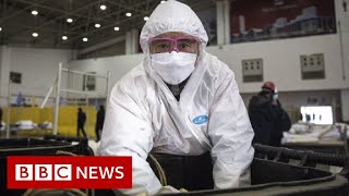 Coronavirus disease named Covid19  BBC News [upl. by Ellynn]