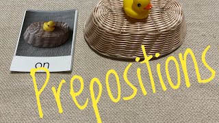 Montessori Language Lesson  PREPOSITIONS [upl. by Nostets]