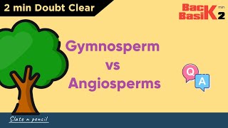 Angiosperms Vs Gymnosperms  Quick 2 min Comparison  Basic Concept  Slate and Pencil [upl. by Ahsiri]