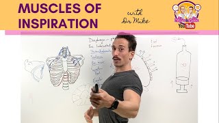 How to Cardiac Ultrasound  Apical View Case Study [upl. by Mitzie]