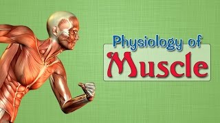 Easy Physiology  Muscle  2Isometric amp Isotonic contractions [upl. by Havelock676]