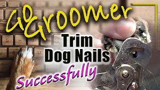 How to trim your dogs nail [upl. by Yoho136]