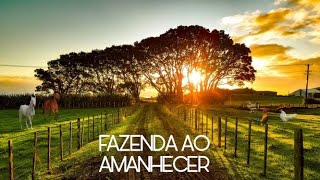 Amanhecer na Fazenda  Som do Ambiente Rural 🌱 [upl. by Intirb372]