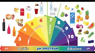 Acidic Foods vs Alkaline Foods [upl. by Vizza]