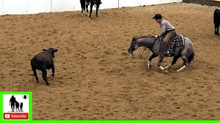 Cutting Horses Class 56 Final  2020 Metallic Cat West Texas Futurity [upl. by Lanahtan]