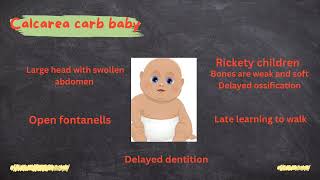 Calcarea Carb  Part 1  From Dr N M Choudhuris Materia Medica [upl. by Iek]