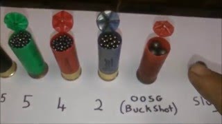 Shotgun Basics shot size [upl. by Awe]