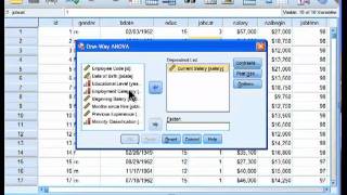 Oneway ANOVA  SPSS part 1 [upl. by Nolahc]