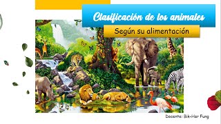 Clasificación de los animales según su alimentación [upl. by Haneeja]