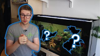 Why Aquarium Driftwood Floats and How To Fix It [upl. by Rriocard]