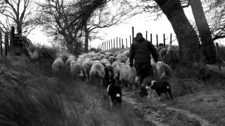 James Rebanks on The Shepherd’s Life [upl. by Monney]