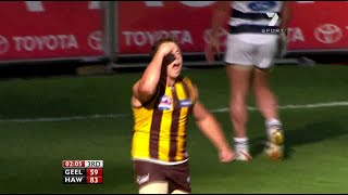 AFL 2008 Grand Final  Hawthorn highlights vs Geelong [upl. by Aprile]