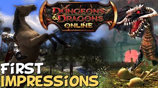 Dungeons amp Dragons Online First Impressions quotIs It Worth Playingquot [upl. by Yllen204]