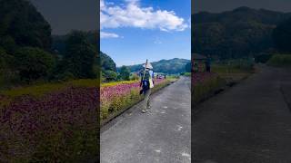 Beautiful Trails and Temples on Shikoku 88 Temples Pilgrimage Day 8 [upl. by Ynohtnaed]