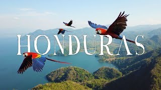 Honduras Travel Video  WANDR Roatan Copan Lake Yojoa Macaws and MORE [upl. by Selda247]