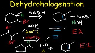 Dehydrohalogenation of Alkyl Halides Reaction Mechanism  E1 amp E2 [upl. by Leahcimdivad]