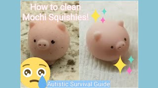 How to Clean Mochi Squishy Toys  Autistic Survival Guide [upl. by Sirois]