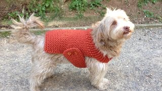 How to Loom Knit a Dog Sweater  Coat DIY Tutorial [upl. by Paske283]