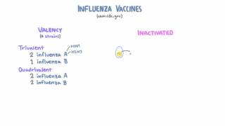 Influenza Vaccines [upl. by Arrehs]