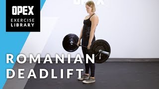 Romanian Deadlift  OPEX Exercise Library [upl. by Bobinette84]