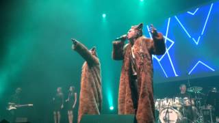 LIVE Ylvis  The Fox [upl. by Nosak]