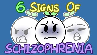 6 Signs Of Schizophrenia [upl. by Appilihp898]