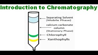 Introduction to chromatography [upl. by Ihsir526]