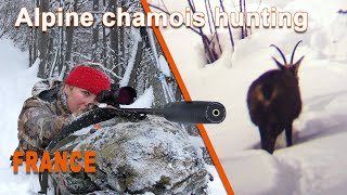 Alpine Chamois Hunting in France  Chasse au Chamois en France  2021 [upl. by Benildis]