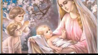 Ave Maria Latin lyrics w English translation [upl. by Demetre]