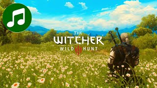 Meditate Like A WITCHER 🎵 Relaxing Music SLEEP  STUDY  FOCUS [upl. by Marcelle]