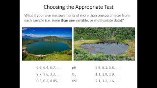 24 Hotelling T2 test [upl. by Portingale]