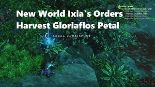 New World Ixias Orders  Harvest Gloriaflos Petal [upl. by Zeta]