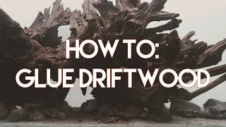 Minute Mentions How to Glue Aquarium Driftwood [upl. by Annunciata337]