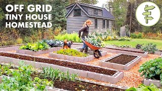 Living OffGrid on a Tiny House Homestead for 6 Years [upl. by Petrie]