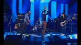 babyshambles  fuck forever live on jools holland [upl. by Cooperman]