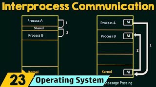 Interprocess Communication [upl. by Stuppy]