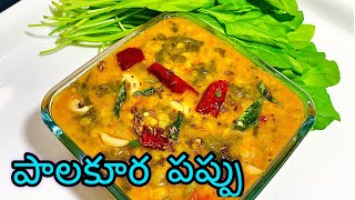 Pappu Palakura Curry  Pappu Palakura In Telugu  Palakura Pappu  Dal Palak  Swadeshi Foods 4k [upl. by Ynnob]