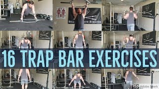 16 Trap Bar Exercises And What Theyre Used For [upl. by Lantz589]