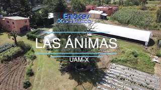 Espacios Proyecto Académico Tulyehualco Las Ánimas [upl. by Enawd]