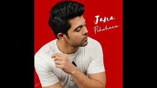 Jana Pehchana Official Audio RnB [upl. by Dorian]