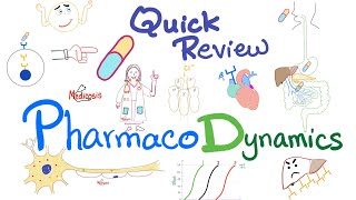 Pharmacodynamics  What the med does to your body  Quick Review  Pharmacology Lectures [upl. by Angelina121]