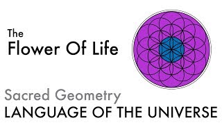 The Flower Of Life  Sacred Geometry [upl. by Kaya]